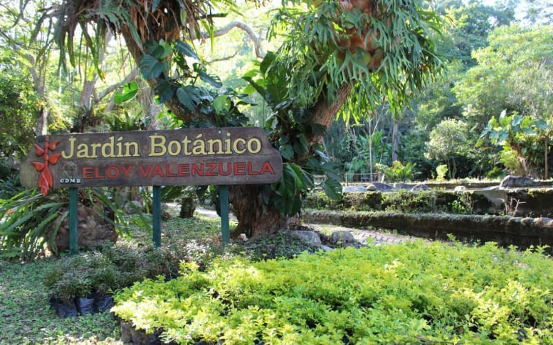 Vuelve abrir sus puertas el Jardín Botánico Eloy Valenzuela