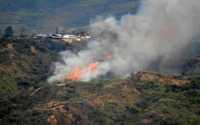 Incendios forestales han quemado más de 450 hectáreas