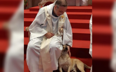 El ‘ángel’ de los perritos es un sacerdote en Brasil
