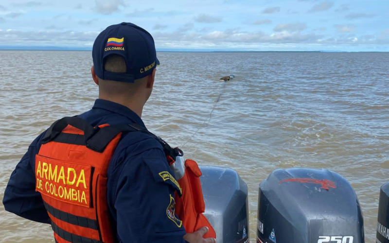 Armada rescató a jaguar en aguas del Golfo de Urabá