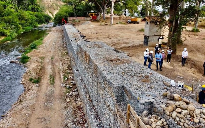 Muro de mitigación en Trefilco va en 45 por ciento