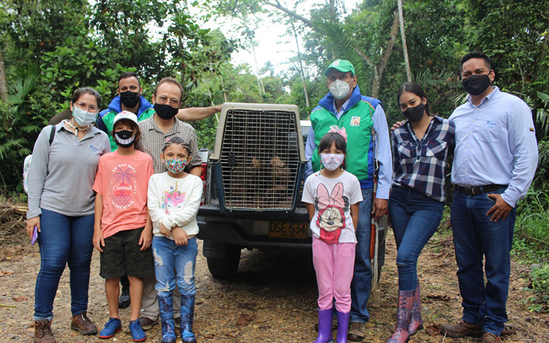 Liberaron a 14 especímenes de fauna silvestre