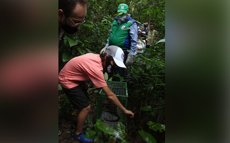 Liberaron a 14 especímenes de fauna silvestre