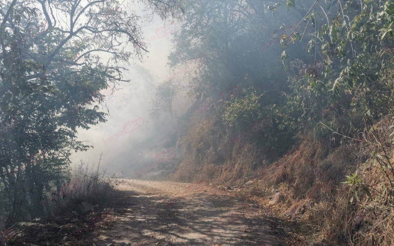 Gran fuego en zona rural de San Andrés, Santander