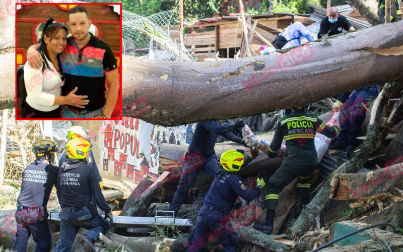 Vídeo: Dos muertos tras caída de árbol en Villas de Girardot