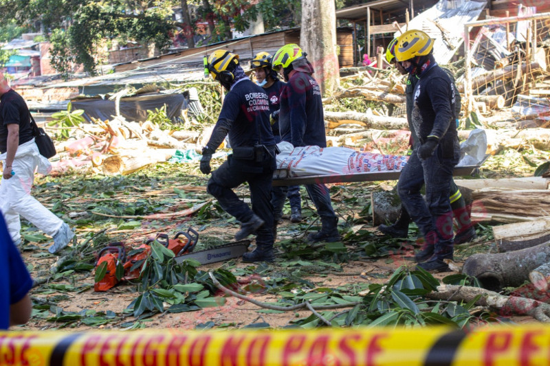 Vídeo: Dos muertos tras caída de árbol en Villas de Girardot