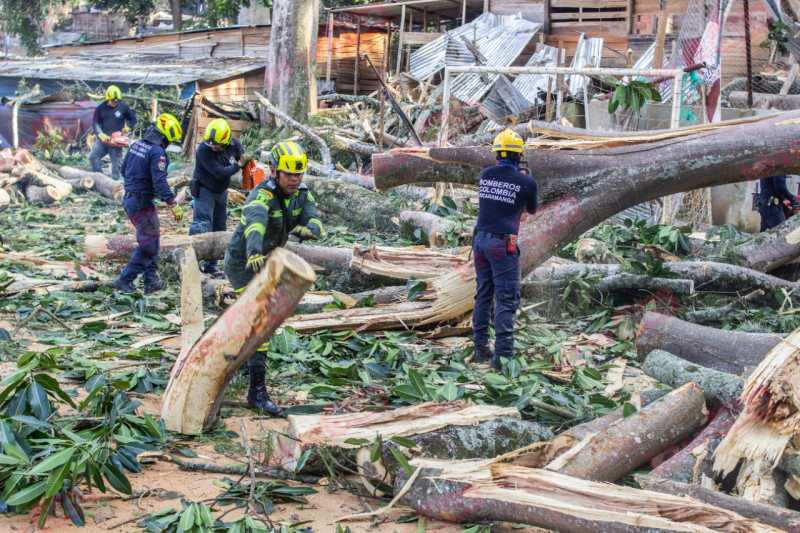 Vídeo: Dos muertos tras caída de árbol en Villas de Girardot