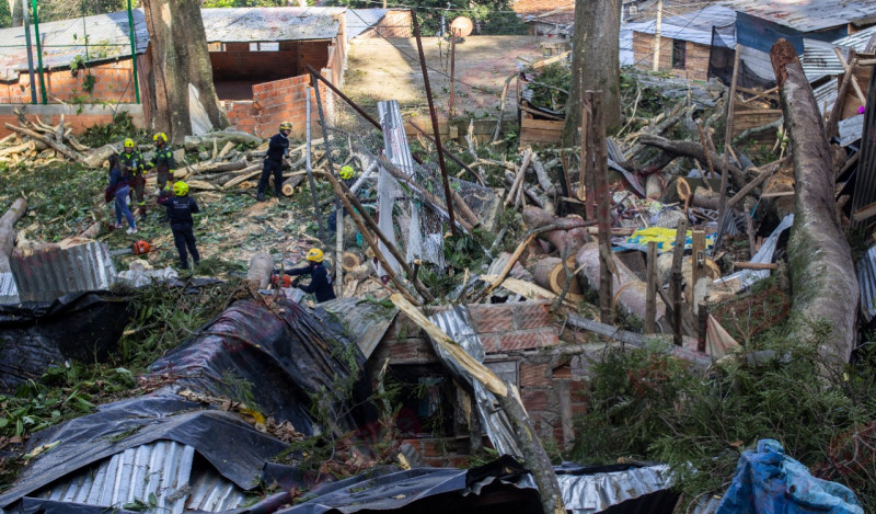 Vídeo: Dos muertos tras caída de árbol en Villas de Girardot