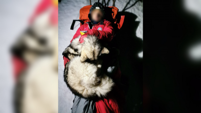 Perrito salvó con su calor a un explorador accidentado