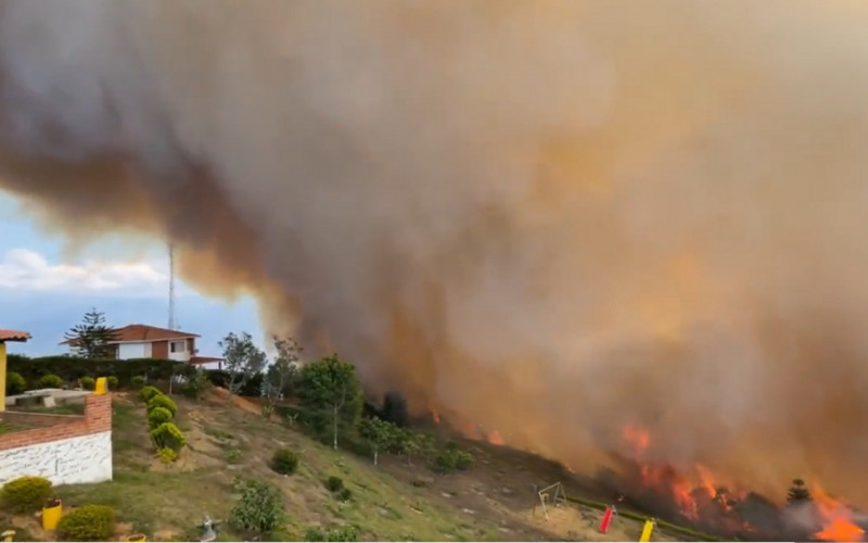 Video: Incendio forestal en el municipio de Los Santos