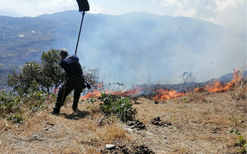 Fuerte incendio forestal en zona rural de Enciso