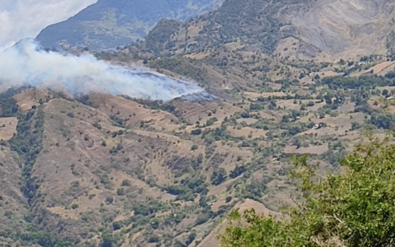 Fuerte incendio forestal en zona rural de Enciso