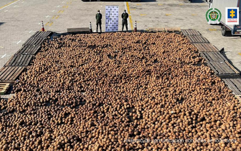 ‘Coco-ína’ de exportación de Colombia hacia Italia