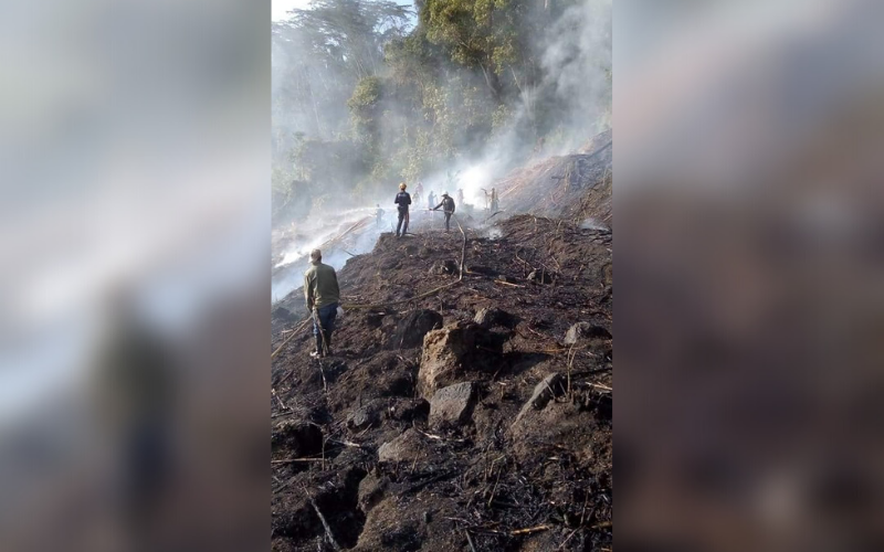 Se quemó la caña en zona rural de Ocamonte