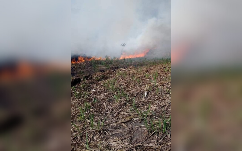 Se quemó la caña en zona rural de Ocamonte