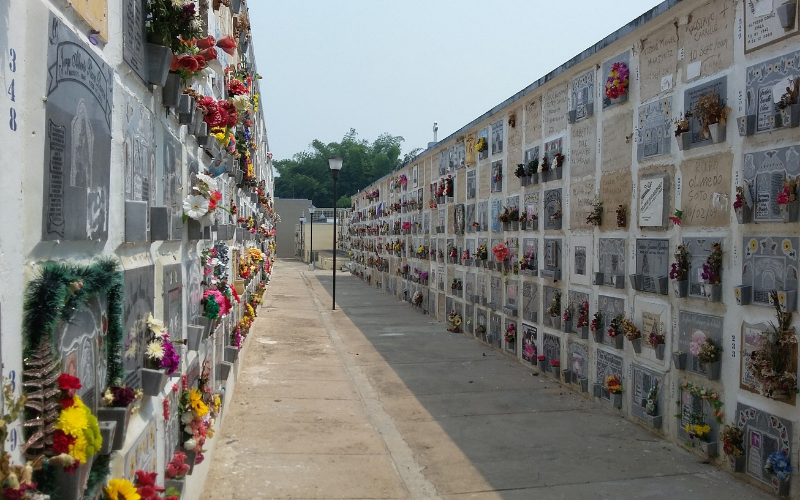 Se ‘perdieron’ mil cuerpos del Cementerio Central