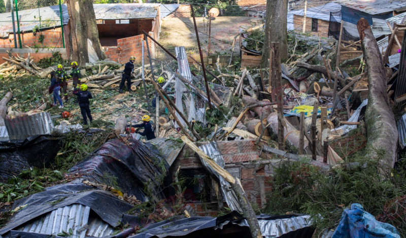 En Villas de Girardot hay riesgo de colapso en un gran árbol