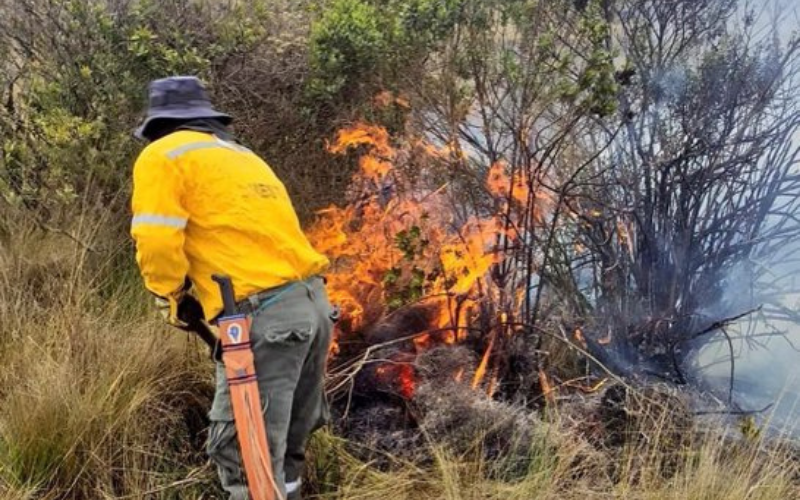 Incendio en Boyacá afecta 70 hectáreas de bosque