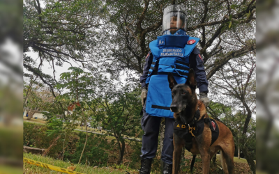 Otros 4 municipios de Santander libres de minas antipersonas
