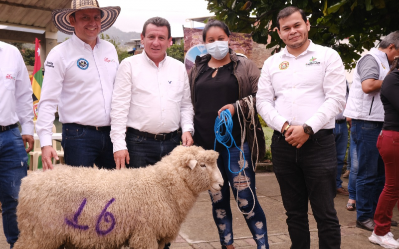 Benefician a mujeres campesinas con la entrega de ovejos reproductores