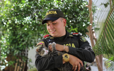 Dios, patria y mucho amor por los animalitos de la calle