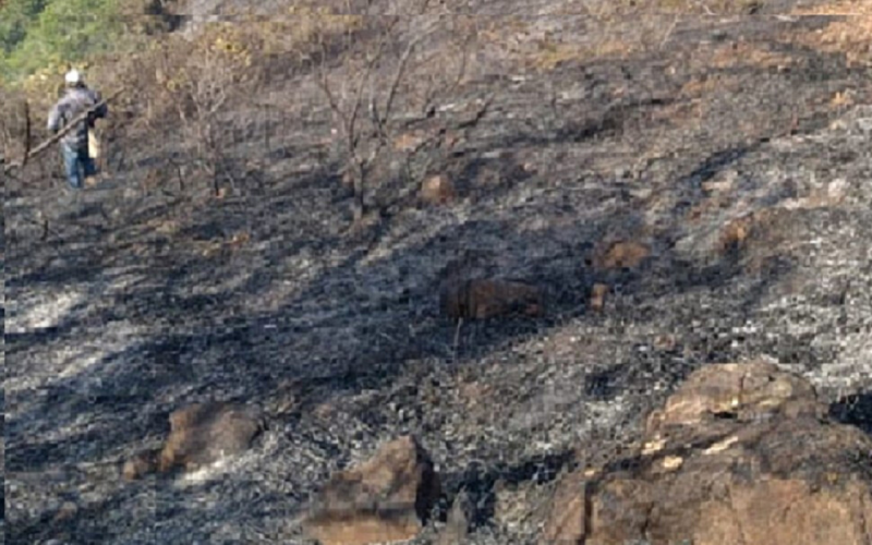 Incendio forestal en Piedecuesta lleva tres días