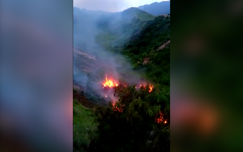 Conato de incendio afecta vegetación nativa en Girón