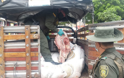 Incautan 850 kilos de equino y porcino en Bucaramanga