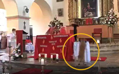Video: Perrito se robó la ofrenda en plena eucaristía