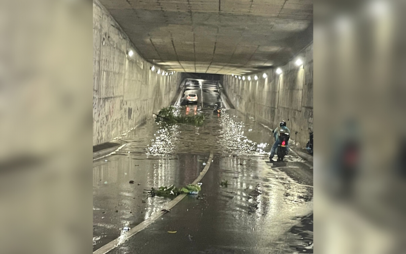 El ‘palo’ de agua dejó múltiples daños en el Área