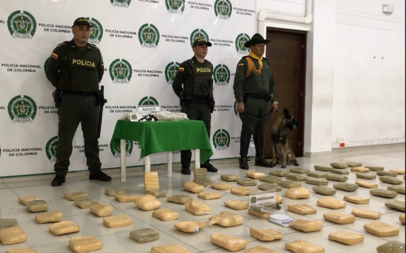 Incautan 125 panelas de marihuana en Campohermoso