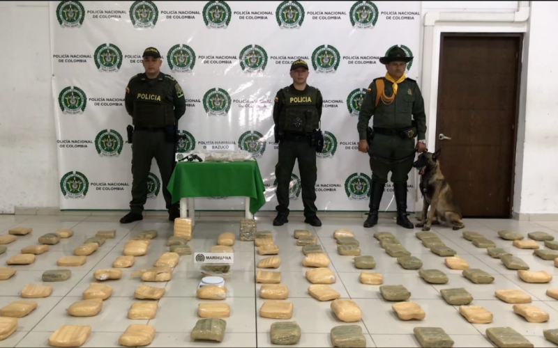 Incautan 125 panelas de marihuana en Campohermoso