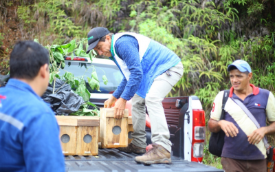 Fortalecen la apicultura sostenible en municipios de soto Norte