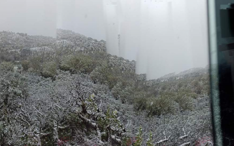 En imágenes: Volvió a nevar al sur de Bogotá tras 60 años