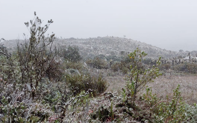 En imágenes: Volvió a nevar al sur de Bogotá tras 60 años