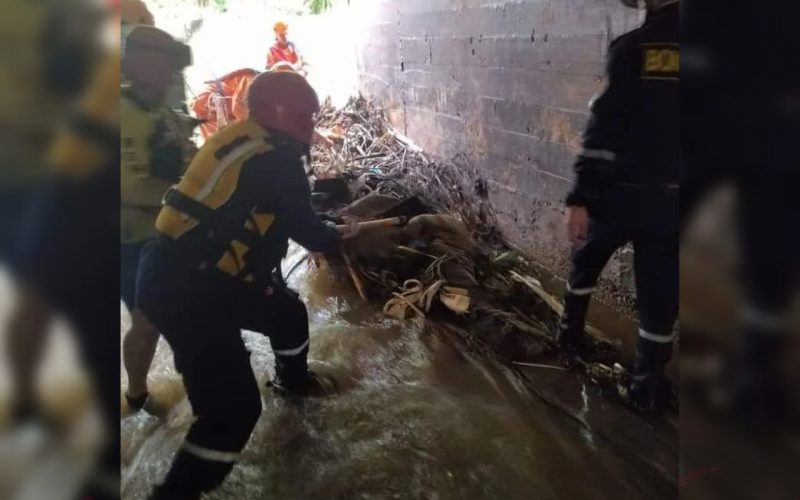 Hallan cuerpo de niño ahogado tras 15 horas de búsqueda