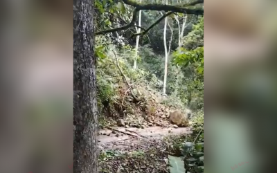 Video: Derrumbe asustó a los vecinos de Alsacia, Floridablanca