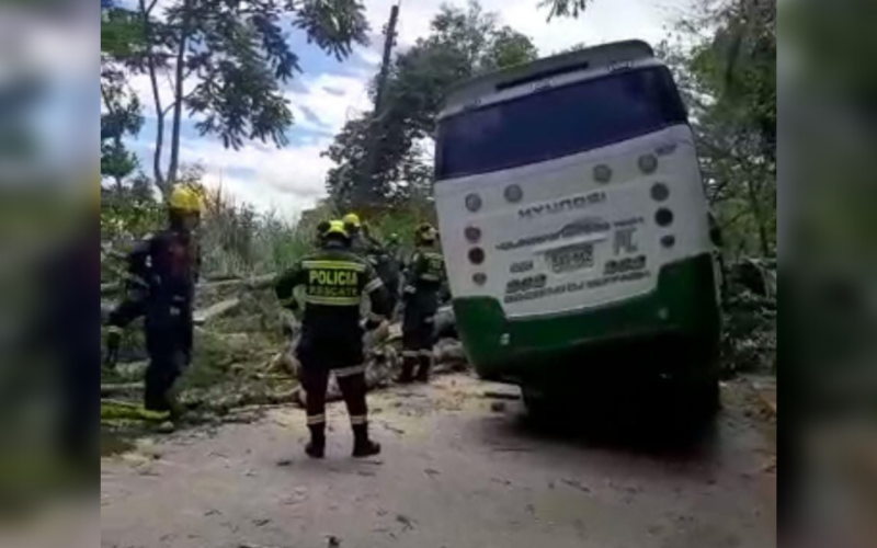 Rescatan a conductor de bus atrapado por caída de árbol