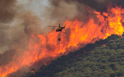 Incendios en España arrasan cerca de 60 mil hectáreas