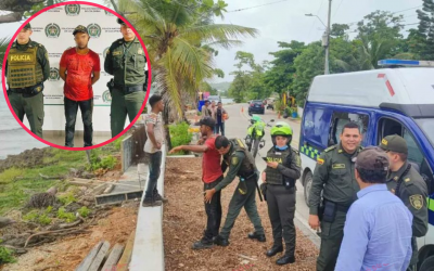 Video: Usó perro de carnada para atraer tiburones en San Andrés