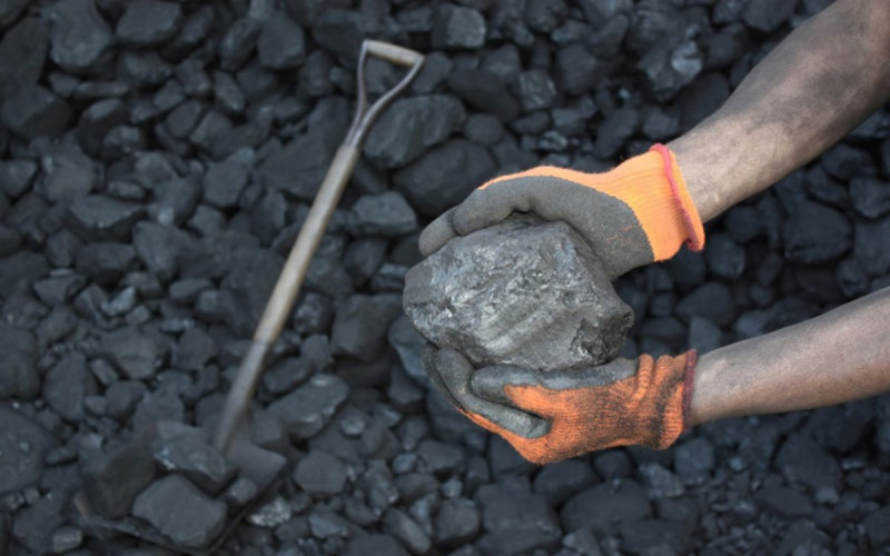 Polémica por licencia para explotar carbón en la Provincia de Mares