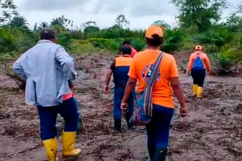 Crisis para agricultores de Puerto Wilches por inundaciones