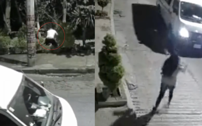 Violento ataque a mujer en parque de Naucalpan quedó registrado en video.