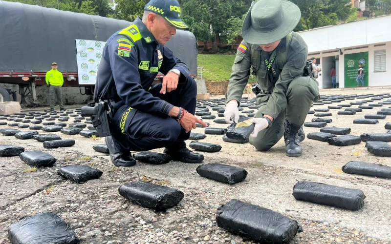 Incautan más de una tonelada de marihuana tipo creepy en Santander