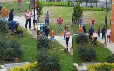 Un pitbull sin bozal protagoniza un ataque mortal contra otra mascota en Bogotá