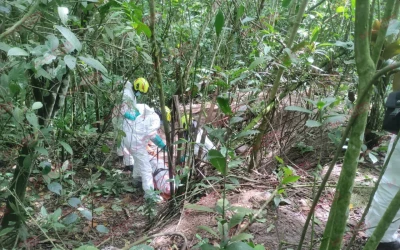 Misteriosa Muerte en Bucaramanga: Cuerpo en Descomposición Hallado en cercanías a la Cancha del Barrio Albania