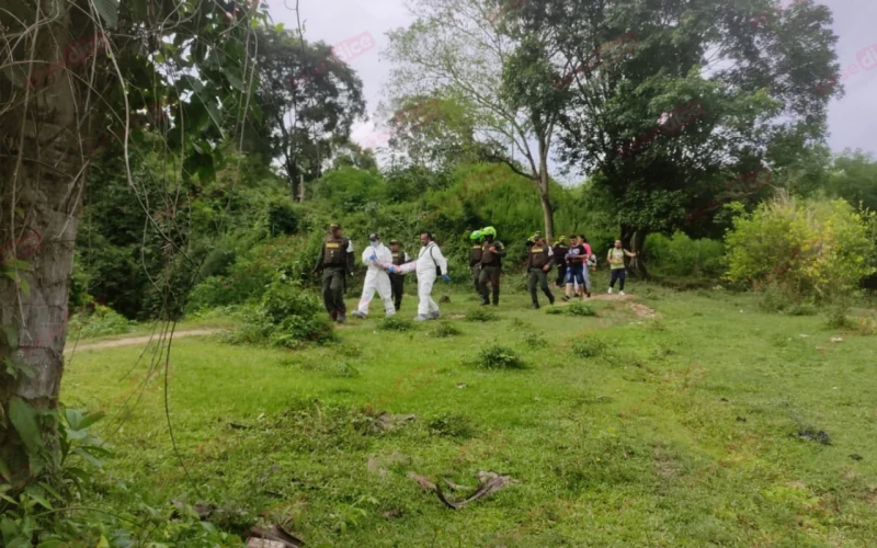 Niño de 5 Años Muere por Ataque de Pitbulls en el Norte de  Bucaramanga