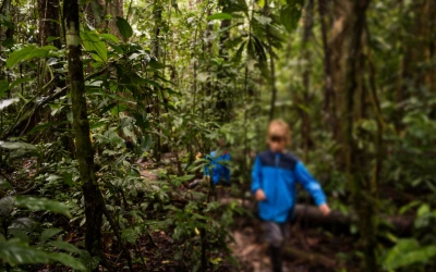 Esperanza renace en la Amazonía: Nuevos rastros de los niños desaparecidos en el trágico accidente aéreo