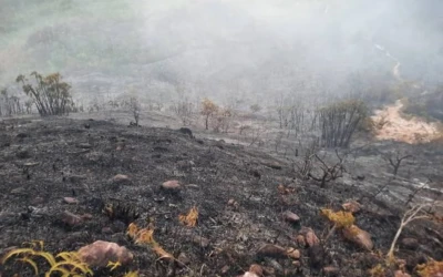 Una Lucha Contra el Tiempo: El Parque Natural 'The Peak' de Providencia se Enfrenta a un Incendio Devastador