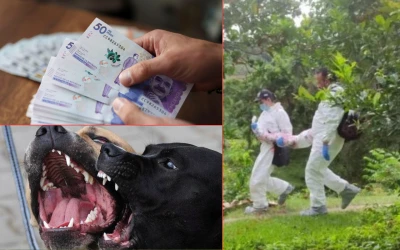 $46 millones de pesos será la multa a los propietarios de los perros que atacaron mortalmente a un niño en Bucaramanga